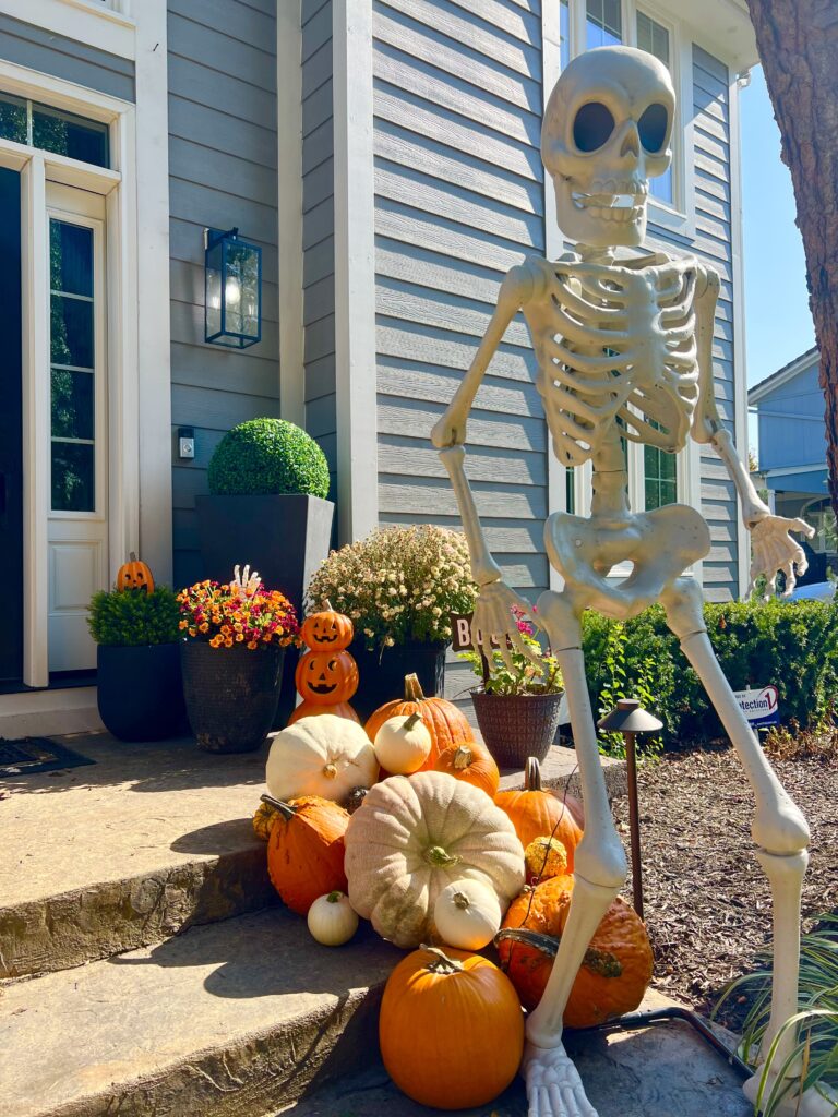 Local pumpkin suppliers