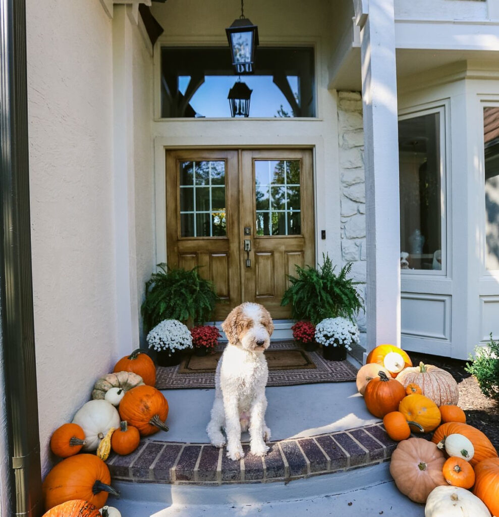 Pumpkin Porch displays, front porch designs, fall decor, halloween displays, pumpkins