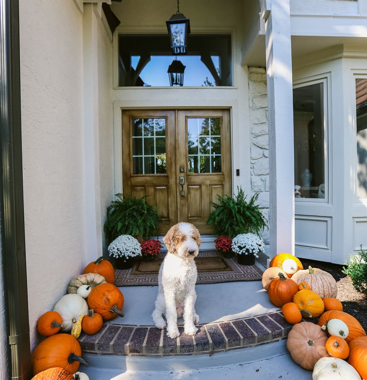 Front porch pumpkin setup with fall decorations – Kansas City seasonal porch designs