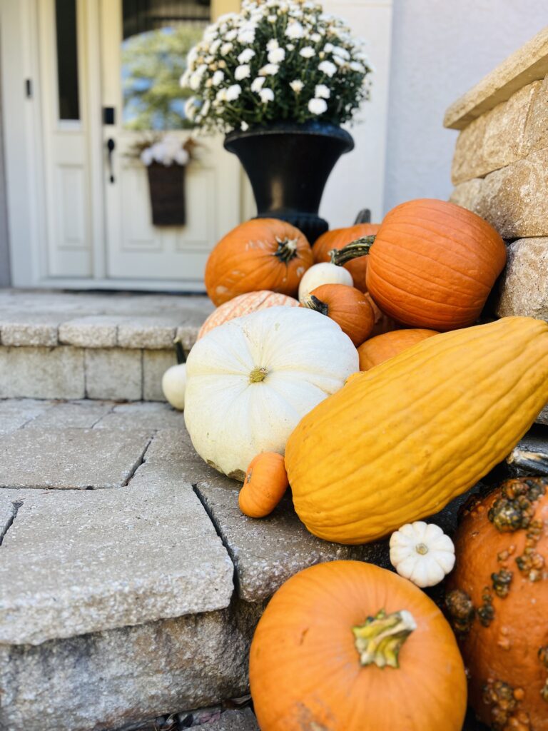 Seasonal porch designs